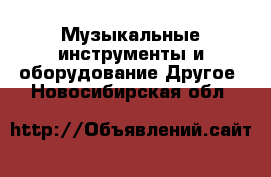 Музыкальные инструменты и оборудование Другое. Новосибирская обл.